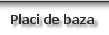 Placi de baza