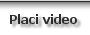 Placi video